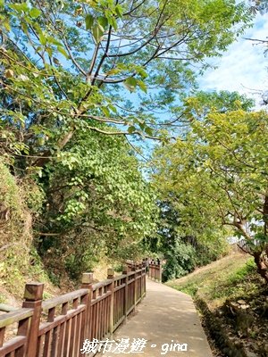 【苗栗】貓貍山公園功維敘隧道2981685