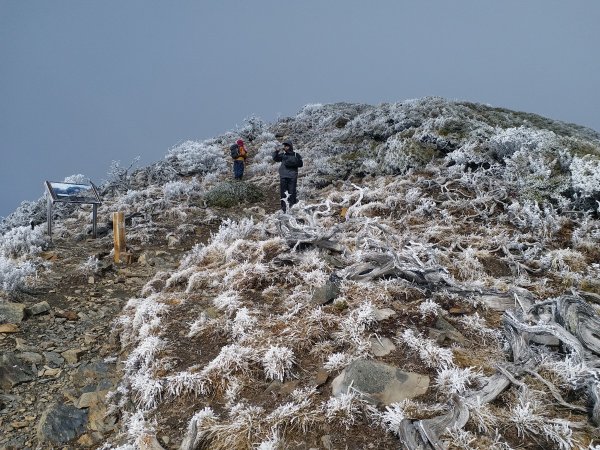 【台中市和平區】雪山主北東翠池(3/4)957570