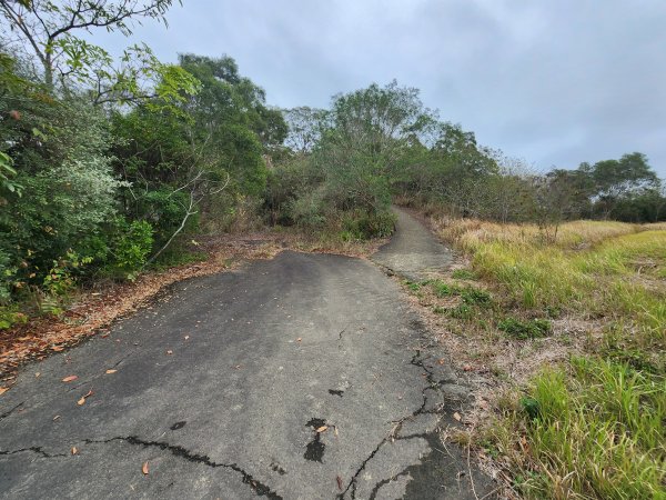 20260301濫坑山與鹿廚坑山3027252