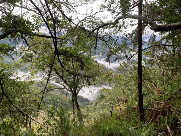 20251220嘉義凸龜山-芙蓉山-天福山2973781