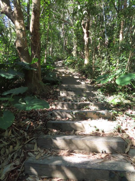 彰化桃源里森林步道+龍鳳谷森林步道2696102