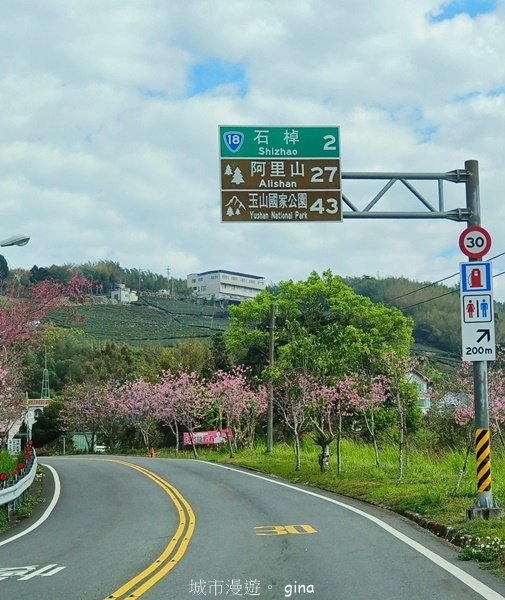 【嘉義阿里山鄉】遠離塵世走入山林芬多精。 特富野古道~自忠至特富野 (往返)2484541