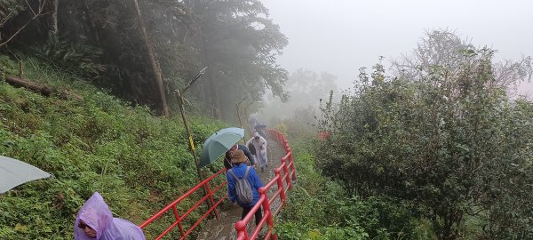 20240121_仙山登山步道2407647