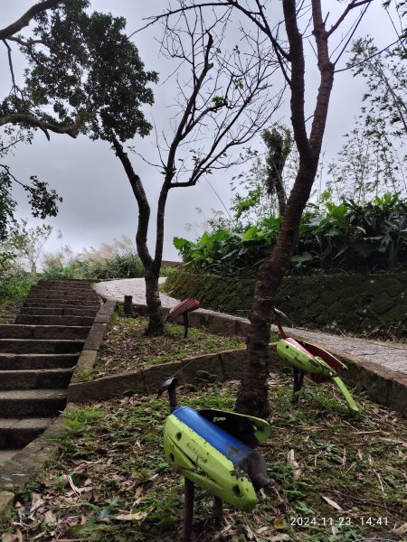 【臺北大縱走 7】3-3 相思炭窯→樟樹步道→彩雲亭→樟山寺→飛龍步道→政大校園→市府轉運站2654581