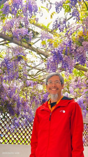 追花是簡單的快樂，賞花是恬淡的幸褔 4/32751465