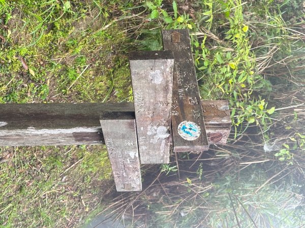 皇帝殿202603293035823