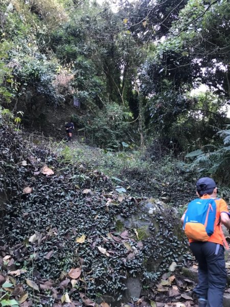 樟腦寮車站上獨立山奉天岩泡茶煮泡麵大巃頂看群峰美景469771