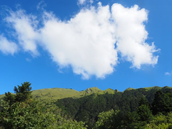 奇萊南華高峰之旅兩天一夜⛰️最受歡迎的新手百岳🏘️1833349