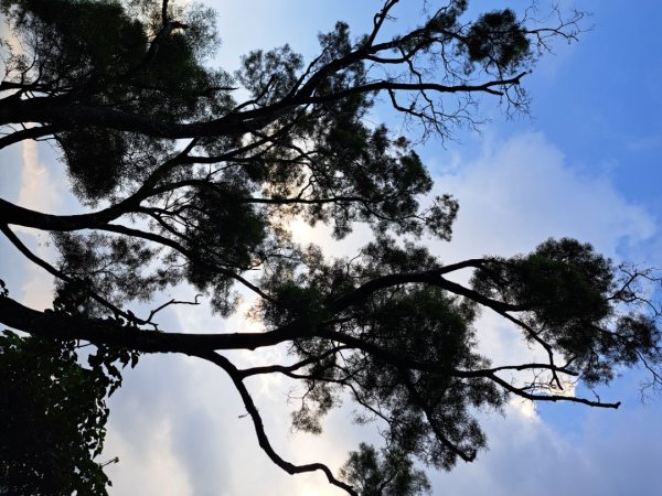 高雄北柴山，田寮月世界，大崗山，小崗山，龍頭山步道3122621
