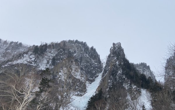 北海道------雪祭3001937
