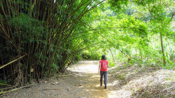 三貂嶺,中坑,柴寮古道1838281