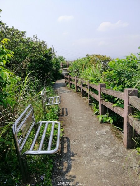 【基隆。仁愛】小百岳集起來。編號7小百岳~紅淡山步道1346387
