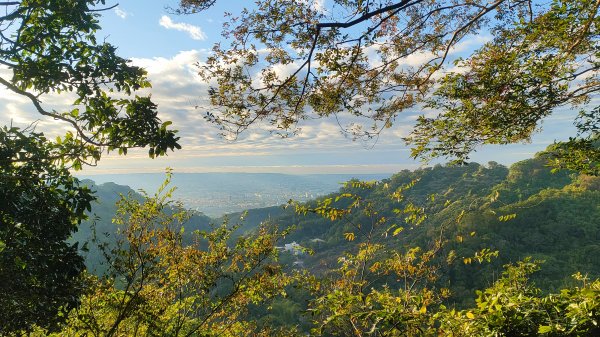 🔺台中/潭子/大胡山，H451m (土地調查局圖根點 | 小41) ［林聚胡縱走］