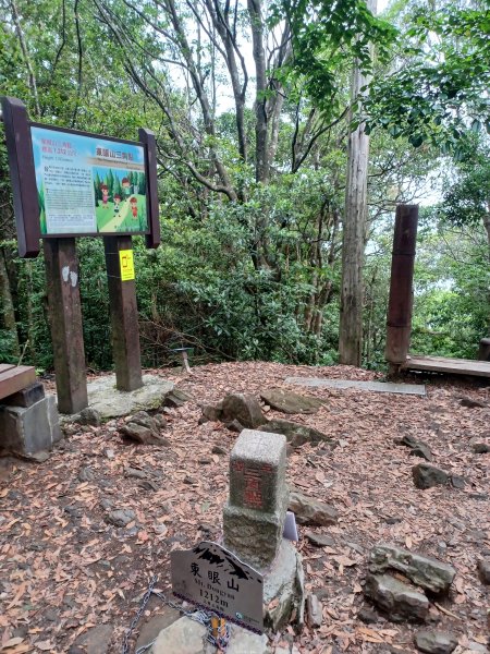 【桃園復興】台灣百大必訪步道。 東眼山森林遊樂區-東眼山自導式步道2835937