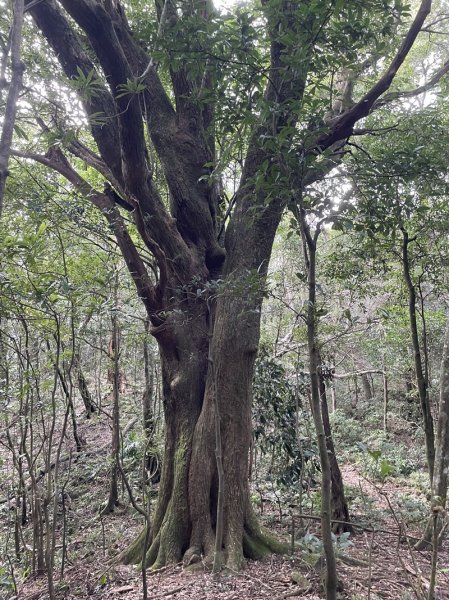 熊空紅河谷越嶺古道2916304