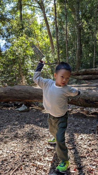 八仙山主峰步道3012298