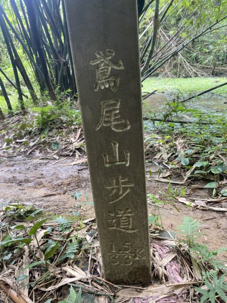 2025微笑山線大縱走尋寶集章任務-Ep.03【鳶山山系】鳶山彩壁段2893720