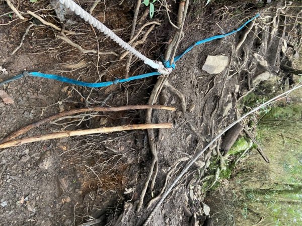 谷關七雄-馬侖山1116749