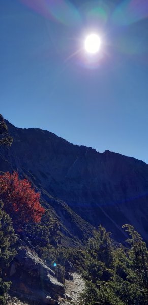 玉山前四峰之旅869549