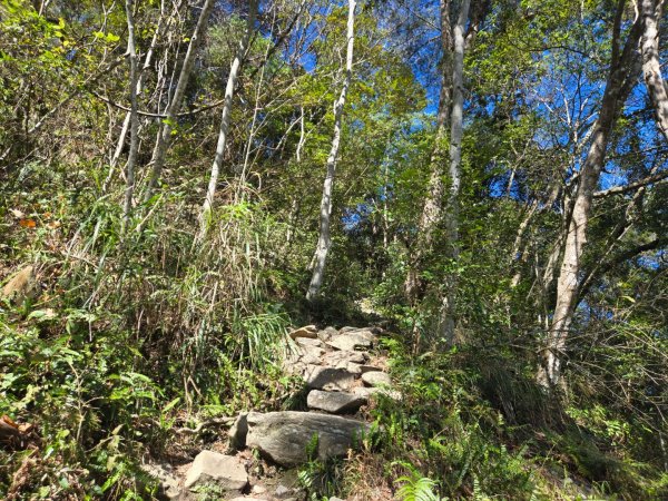 八仙山森林遊樂區、佳保台山2712660