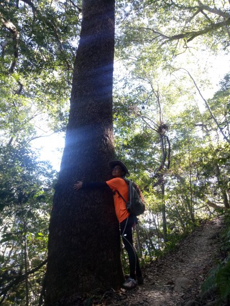 谷關七雄之八仙山1924151