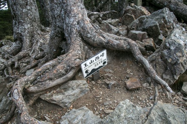 20191124-25玉山西北主753306