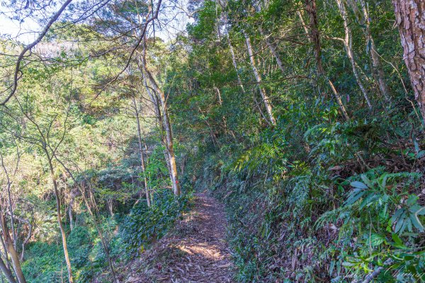 谷關七雄_唐麻丹山3015646