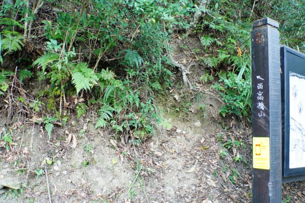 新竹 五峰 西高橋山、霞喀羅大山2959313