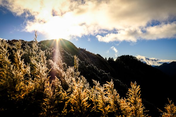[冬訪大霸聖山岳參行]-榮耀桂冠B'bu' Papak聖稜精選輯2974757