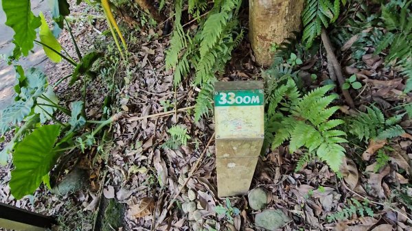 20251215林口森林步道+太平嶺海濱步道2969385