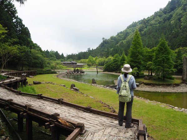 《宜蘭》北橫明珠｜明池國家森林遊樂區201805192889318