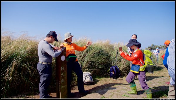 大屯山：向天池、向天山、面天山、大屯山915354