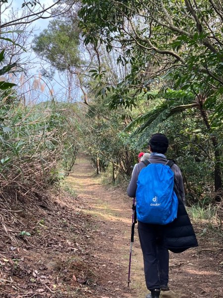 2025-01232淡蘭古道北二段(燦光寮古道到澳底)2696699