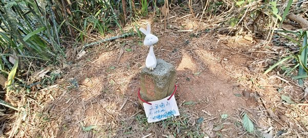 2024/12/28-蓮華山古道群：飛龍步道、進香古道、採茶古道、載熙古道2678903