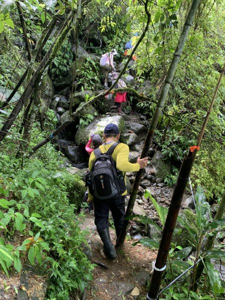 20250614南投南鳳凰山2813249