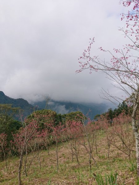 熊空山、竹坑山1605006