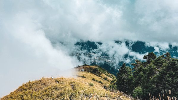 億年橋上志佳陽2960164