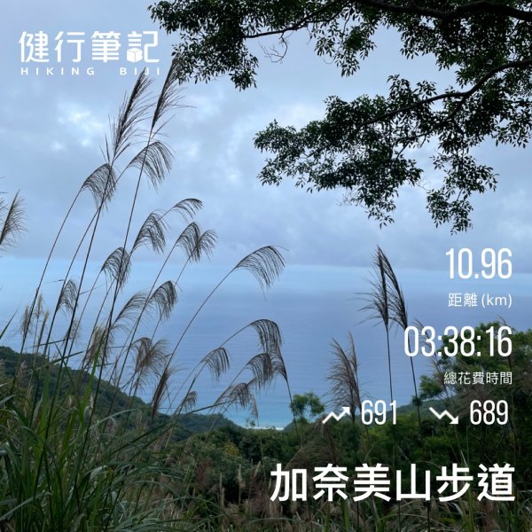 小百岳(95)-加奈美山-202211192051712