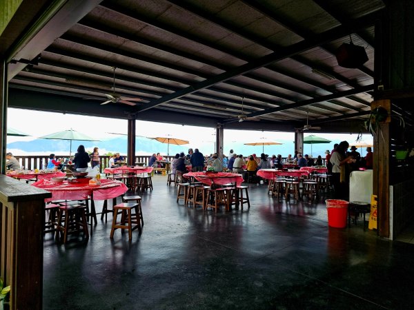 雲嘉大尖山、二尖山步道--(雲林)臺灣百大必訪步道2955772