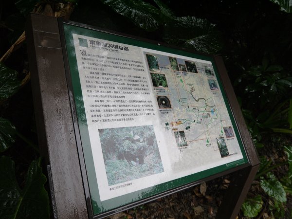 2013.12.14 富陽自然生態步道674012