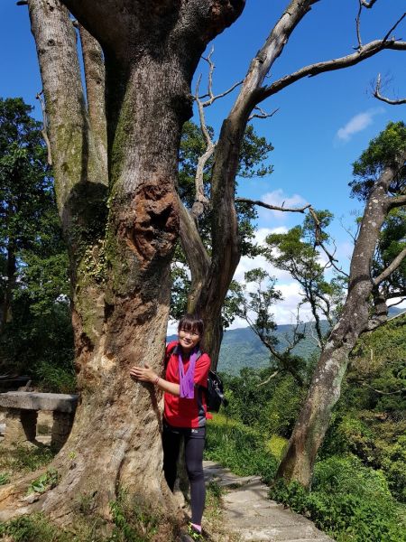 2018.07.16 土城三粒半、天上山408507