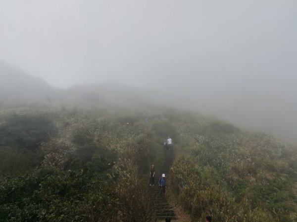 迷霧冷水坑·秋芒大爆發1160108