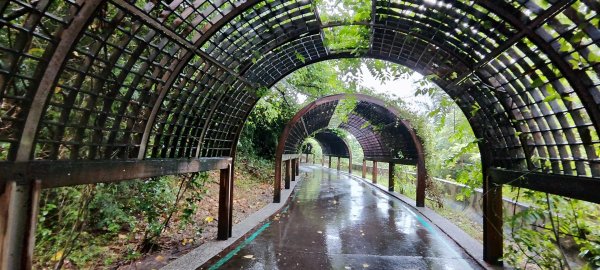 台東．森林公園202508013019157