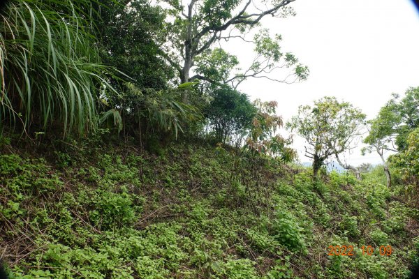 臺南 楠西 爐芝潭山1875991