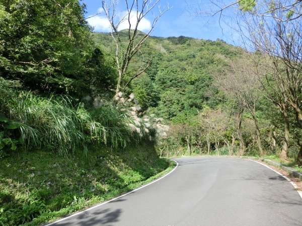 中正山．青楓步道．竹子湖93739
