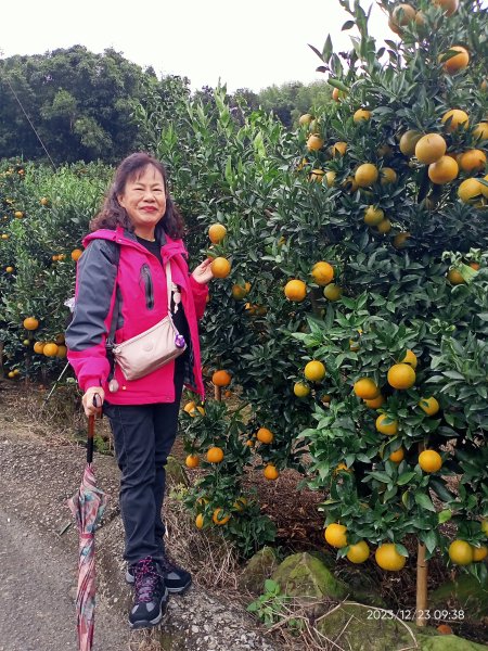 四訪苗栗的花果山-小百岳#037馬那邦山、雪霸國家公園管理處【小百岳集起來、苗栗-臺灣百大必訪步道】2394305
