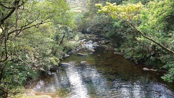 虎豹潭古道、橫山、三方向山O型走310290