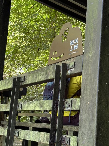 微笑山線：望月亭桐花段3088393
