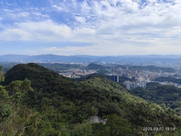 內湖碧山巖 櫻花隧道2724220