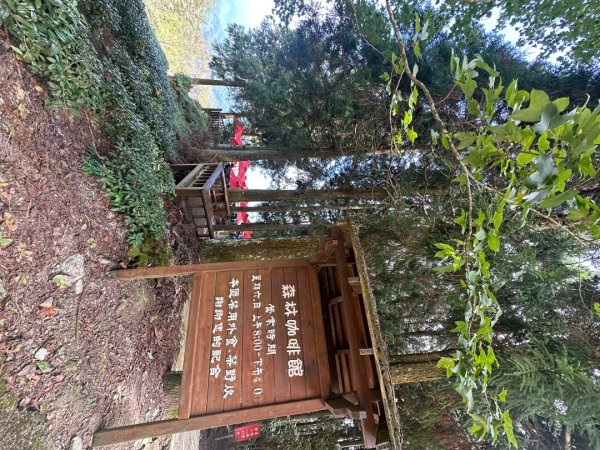 鵝公髻山/十八尖山/紅淡山/大尖山3120531